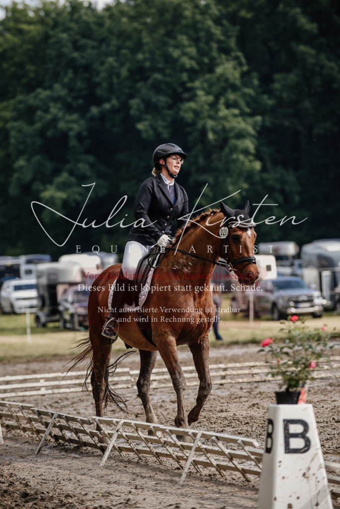 DSC_8955 | Pferde- und Turnierfotografie in Westsachsen. Pferdeportraits, Auftragszeichnungen und intuitive Kunst.