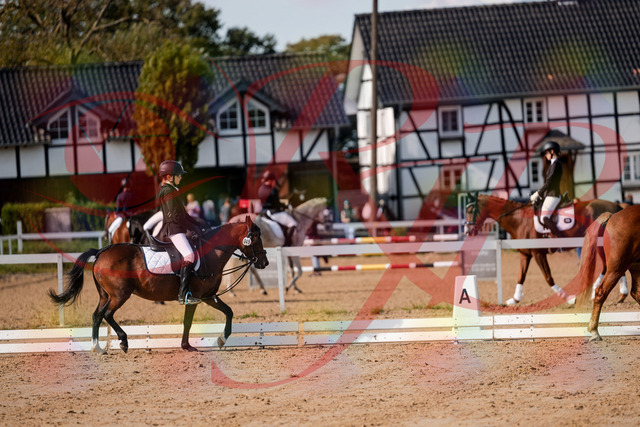 2026_10_03_Siefer-Hof_122040_Z63_43616617 | Professionelle Reitsport-, Turnier- und Eventfotografie von Robert Broda. Galerien mit ausgewählten und bearbeiteten Bildern direkt online ansehen und bestellen.