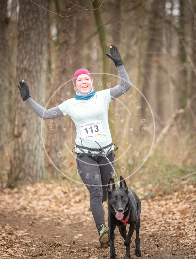 Pfotenfotografie_DV3A7717 | Hundefotografie, Tierfotograf, Pfotenfotografie, Fotoshooting Hund, Hunde Portrait, Hundesport, Hundeportraits, Heideshooting, Hunde, Sportfotograf, Hundefotograf, Turnierhundsport, THS,  - Realisiert mit Pictrs.com