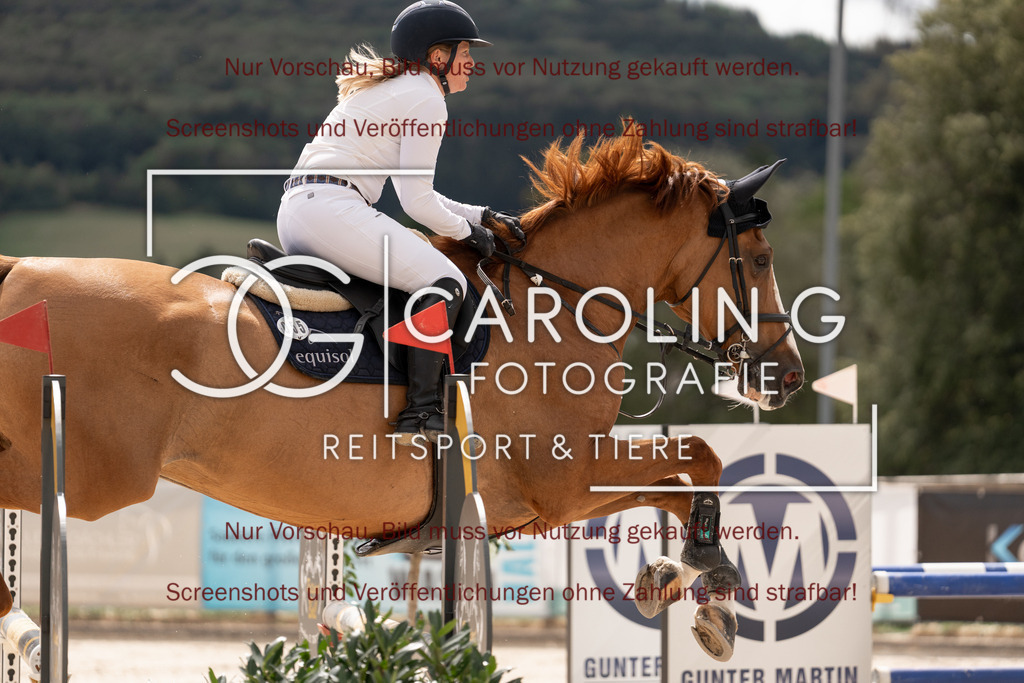 DSC06420 | Springturnier_Teamchallege_Talheim_2026, Clarissa_Schwär, Cascasall_2