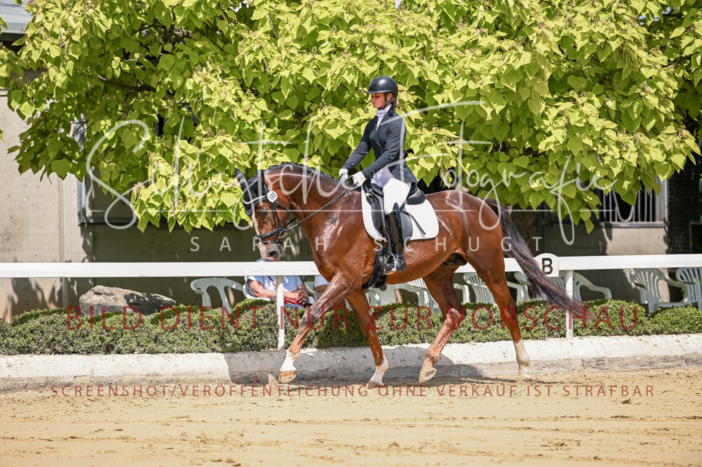 Schugtsche-Aluta25-48.Reitpferfdeprf.-274 | Schugtsche Fotografie - Realisiert mit Pictrs.com