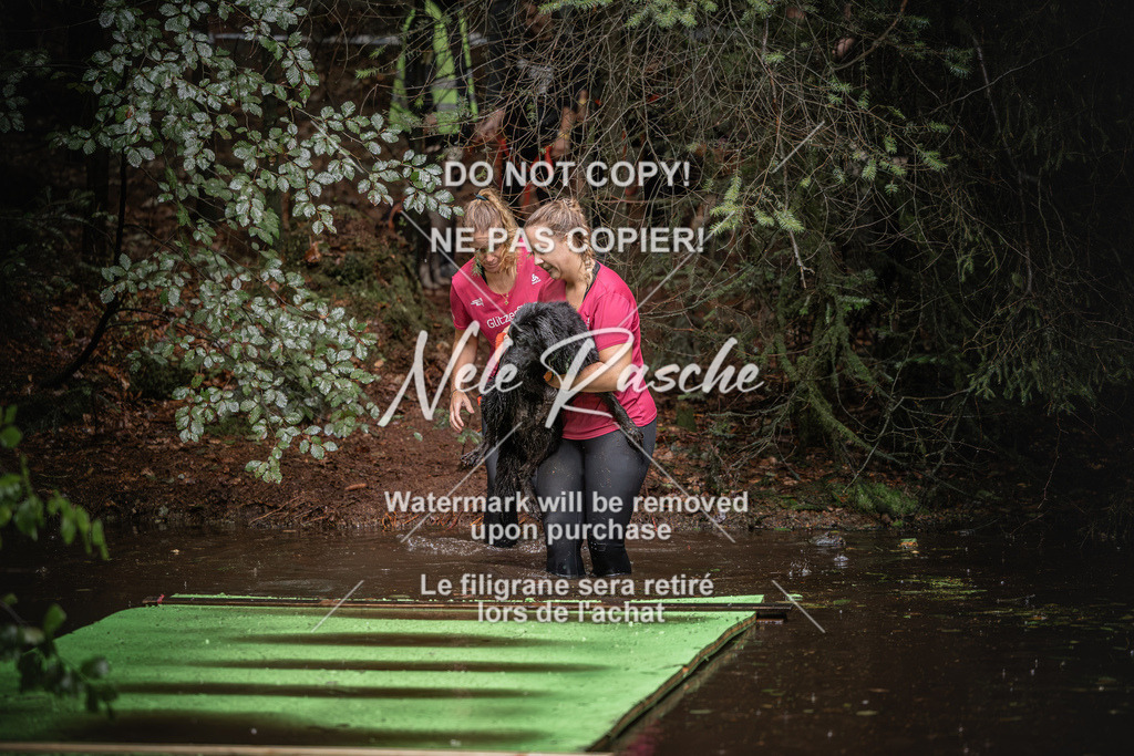 nelerasche_Wingst_Sa1330-1400_182 | nelerasche