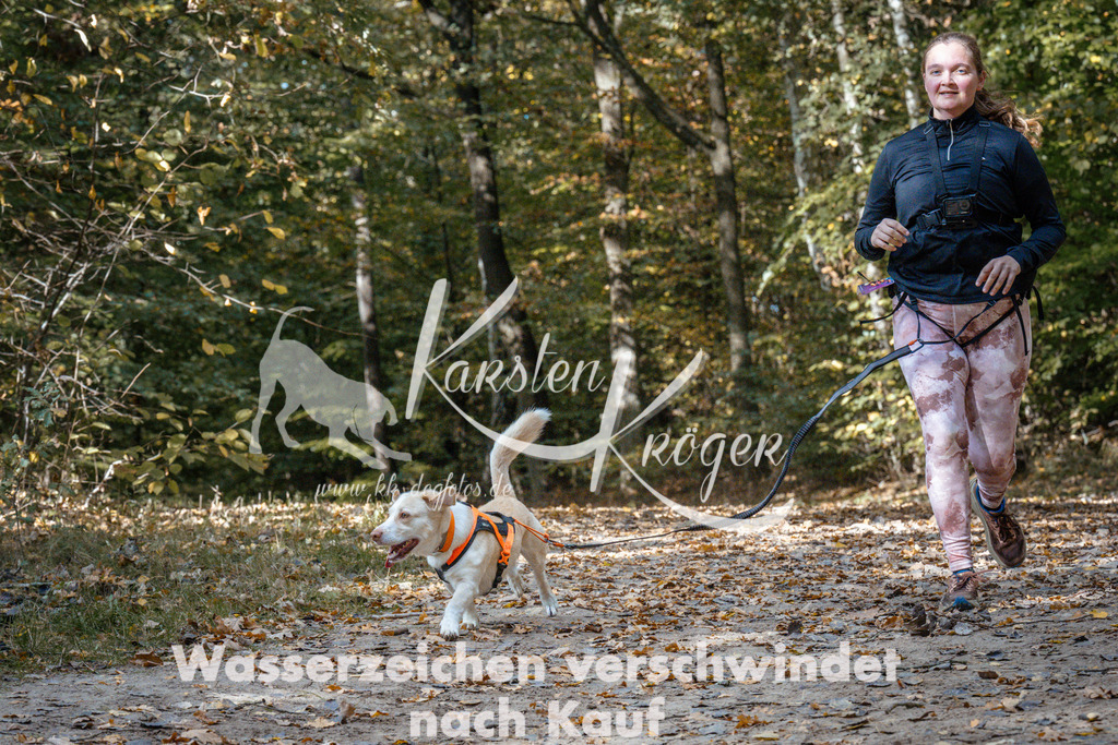 1322_ZZ97988 | kk-dogfotos