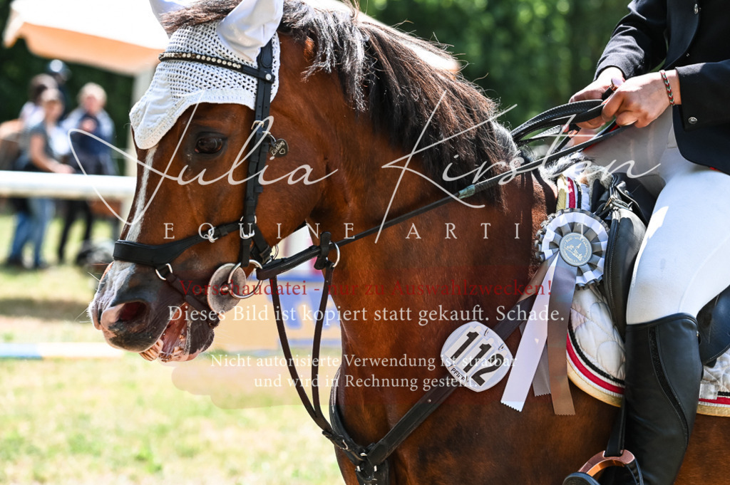 DSC_9527 | Pferde- und Turnierfotografie in Westsachsen. Pferdeportraits, Auftragszeichnungen und intuitive Kunst.