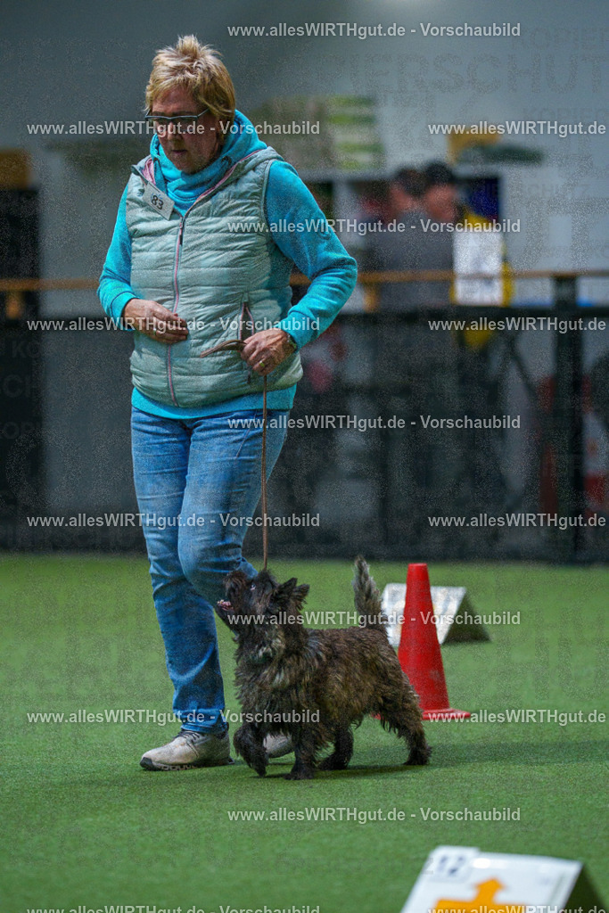 7R503253 | Professionelle Tierfotografie in Mönchengladbach von Daniel Wirth (allesWIRTHgut). Liebevolle & natürliche Bilder von Hunden & Katzen für unvergessliche Erinnerungen.
