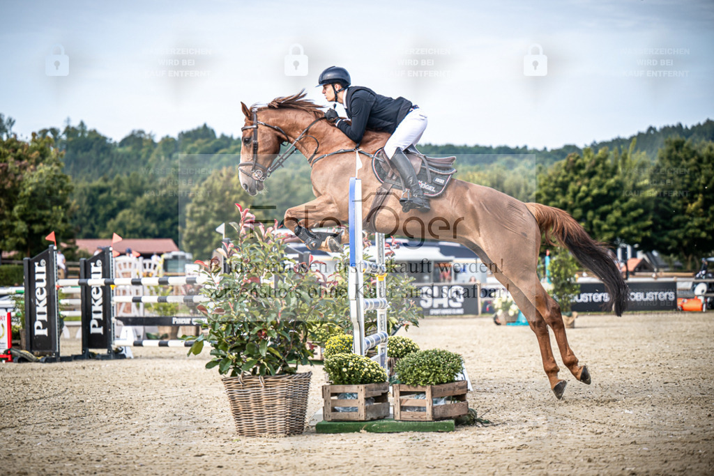 DOS_6442 | Entdecke hochwertige Reitturnierfotos von Foto Oger. Professionell, emotional und authentisch – jetzt Lieblingsmomente im Shop bestellen. - Realisiert mit Pictrs.com