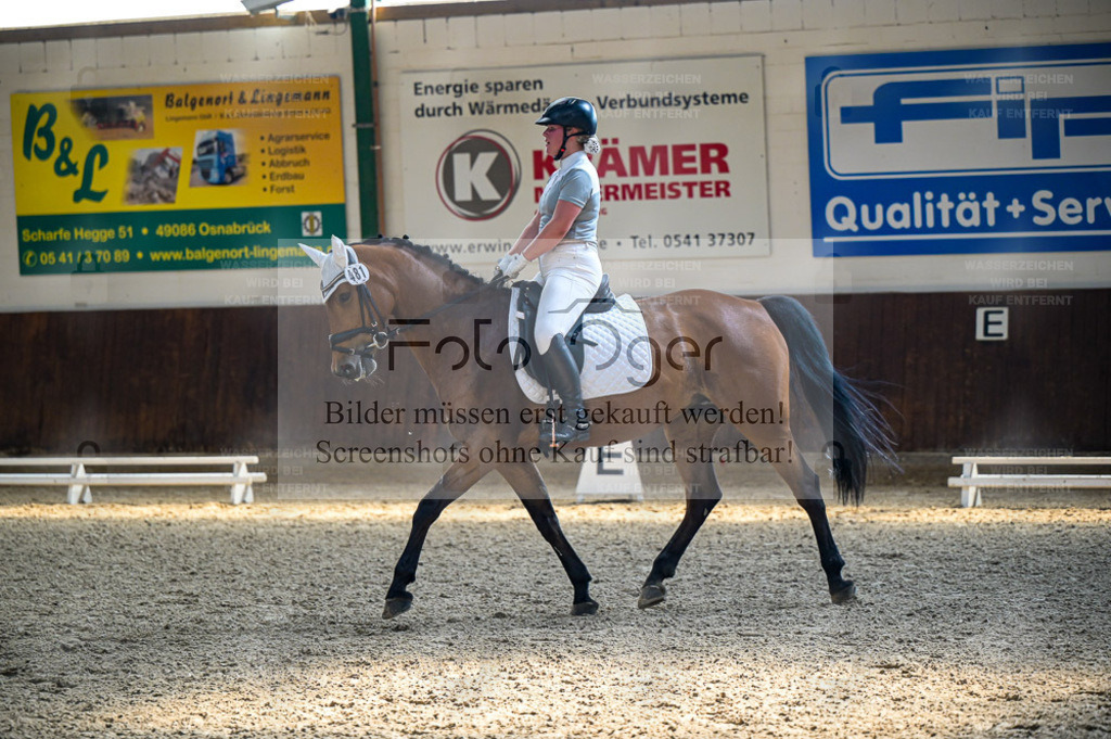 Reitturnier Voxtrup | Entdecke hochwertige Reitturnierfotos von Foto Oger. Professionell, emotional und authentisch – jetzt Lieblingsmomente im Shop bestellen. - Realisiert mit Pictrs.com