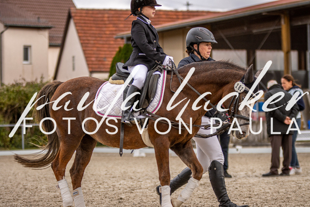 IMG_3908 | Erleben Sie dynamische Sport- und emotionale Tierfotografie in Süddeutschland mit Fotos von Paula. Spezialisiert auf Pferde- und Hundefotografie sowie Sportevents. Kontaktieren Sie mich für einzigartige und ausdrucksstarke Bilder Ihrer besonderen Momente. - Realisiert mit Pictrs.com