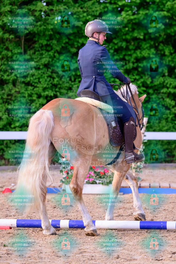 02052026-Giesenbach-03-Speedtrail-1003 | Fokus Hufschlag Fotografie - Realisiert mit Pictrs.com
