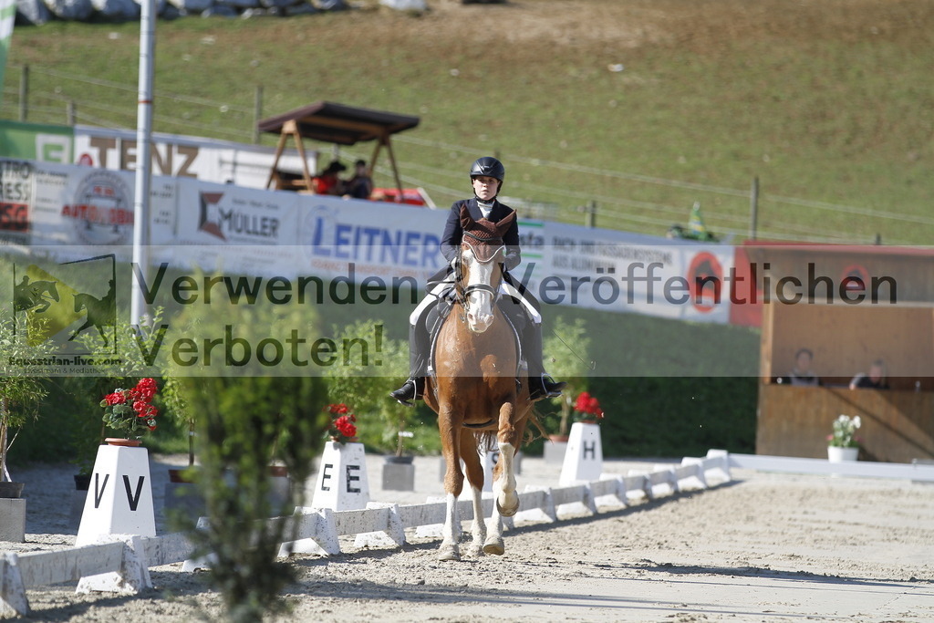 _MG_3022 | equestrian-live-com