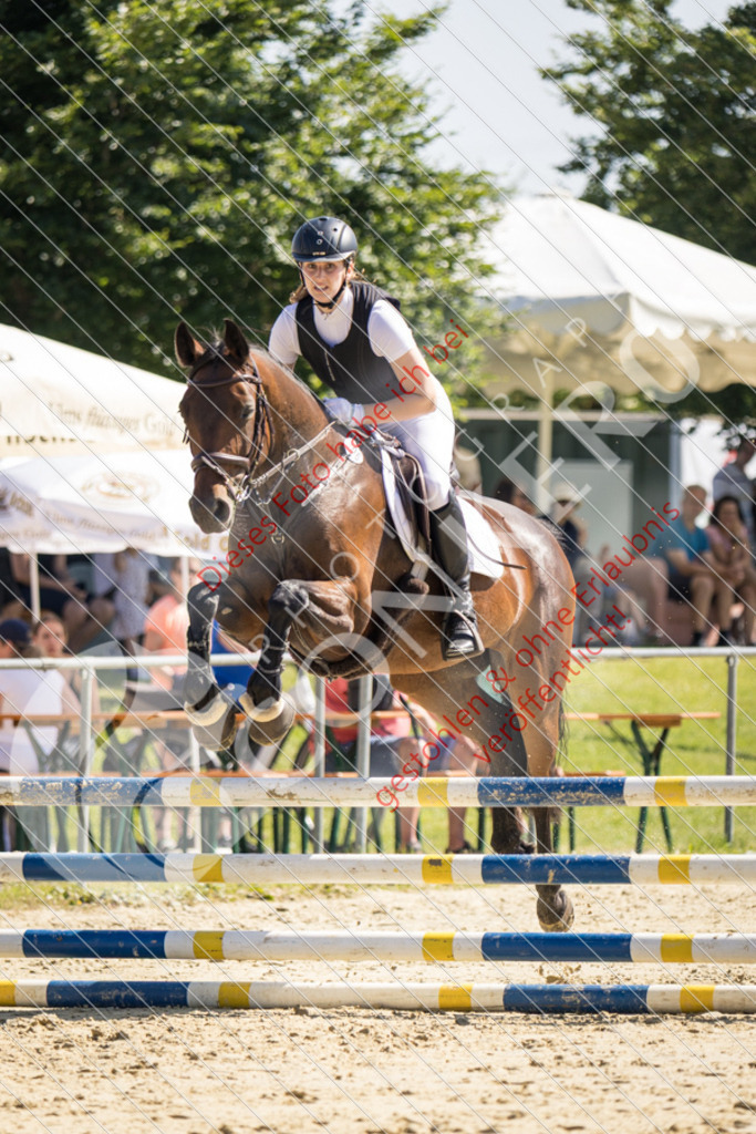 IMG_3331 | Sport-, Event- und Tierfotos in Profiqualität. Einfach auswählen, bestellen und herunterladen. Dein Moment – perfekt festgehalten.