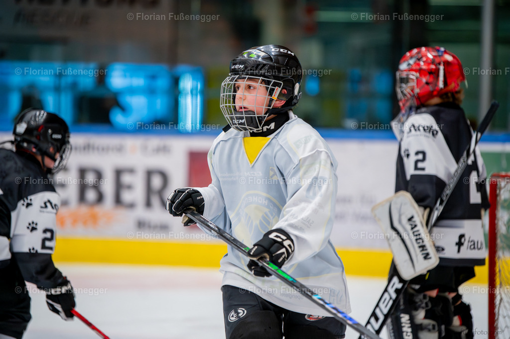 DSC_9324 | "Fussifoto.com – Ihr Ansprechpartner für hochwertige Fotografie! Entdecken Sie kreative Bilder und professionelle Dienstleistungen. Kontaktieren Sie uns für Ihre Projekte!"