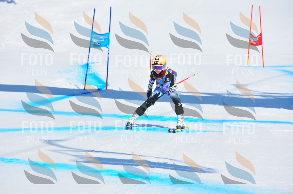 DSC_0968 | holidayphoto