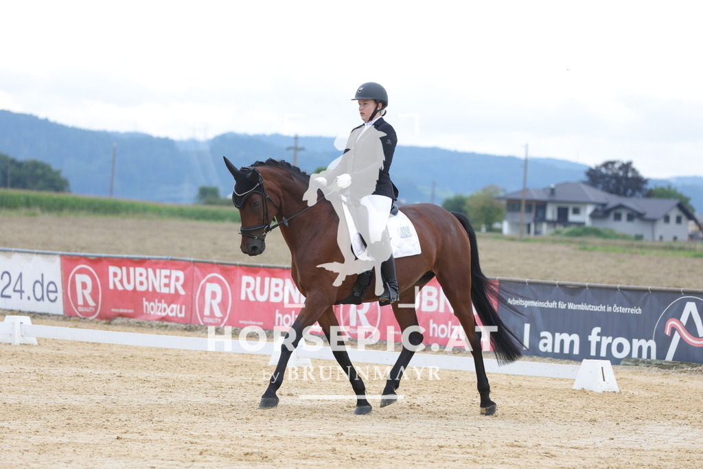 0P6A8203 | Willkommen bei Brunnmayr - Design & Fotografie – Ihrem Spezialisten für Reitturniere und Pferdeveranstaltungen in Oberösterreich, Salzburg und Bayern! Seit über 17 Jahren sind wir leidenschaftlich dabei.