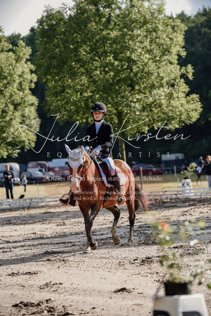DSC_7808 | Pferde- und Turnierfotografie in Westsachsen. Pferdeportraits, Auftragszeichnungen und intuitive Kunst.