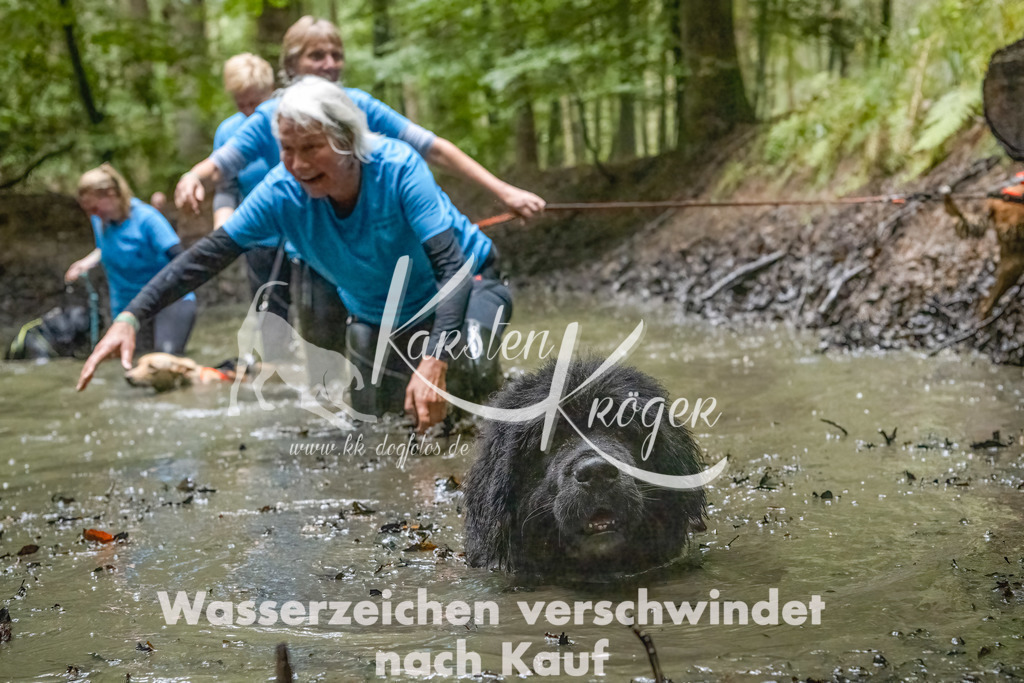 1145_ZZ91530-Bearbeitet-2 | kk-dogfotos