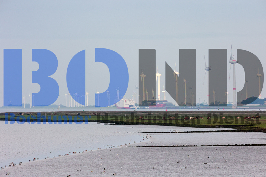 SES_EMDDIS20250920-3 | bond - Realisiert mit Pictrs.com