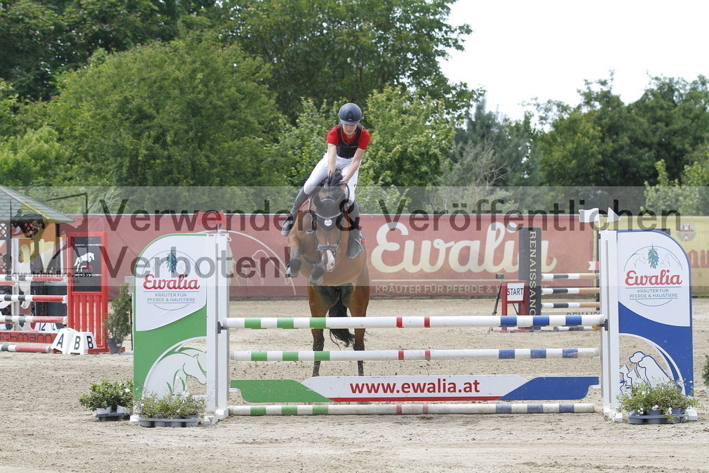 _MG_5530 | equestrian-live-com