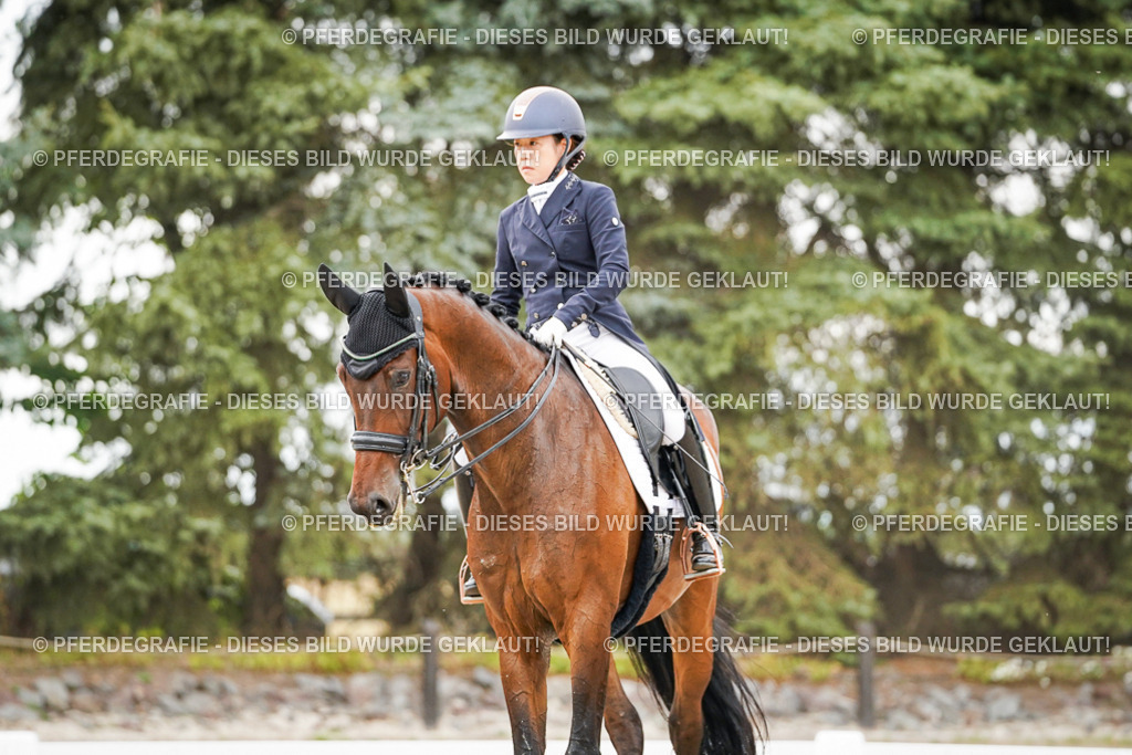 DSC05446 | Pferdegrafie