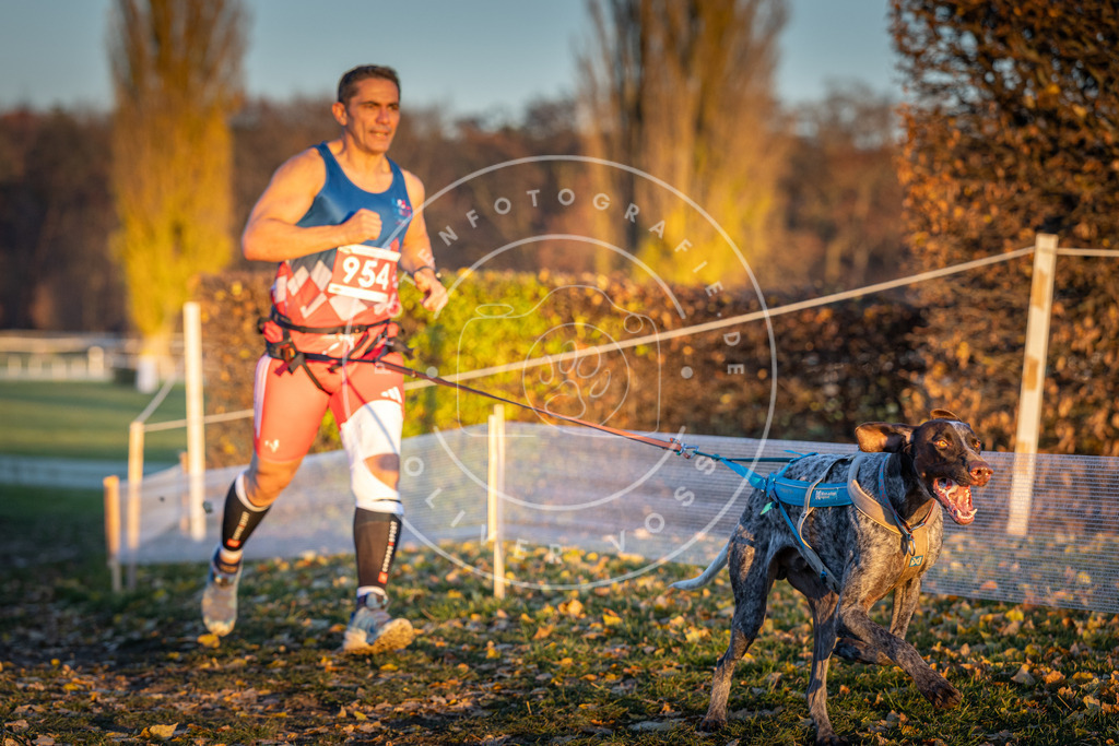 CaniXpix_DV3A5711 | Hundefotografie, Tierfotograf, Pfotenfotografie, Fotoshooting Hund, Hunde Portrait, Hundesport, Hundeportraits, Heideshooting, Hunde, Sportfotograf, Hundefotograf, Turnierhundsport, THS,  - Realisiert mit Pictrs.com