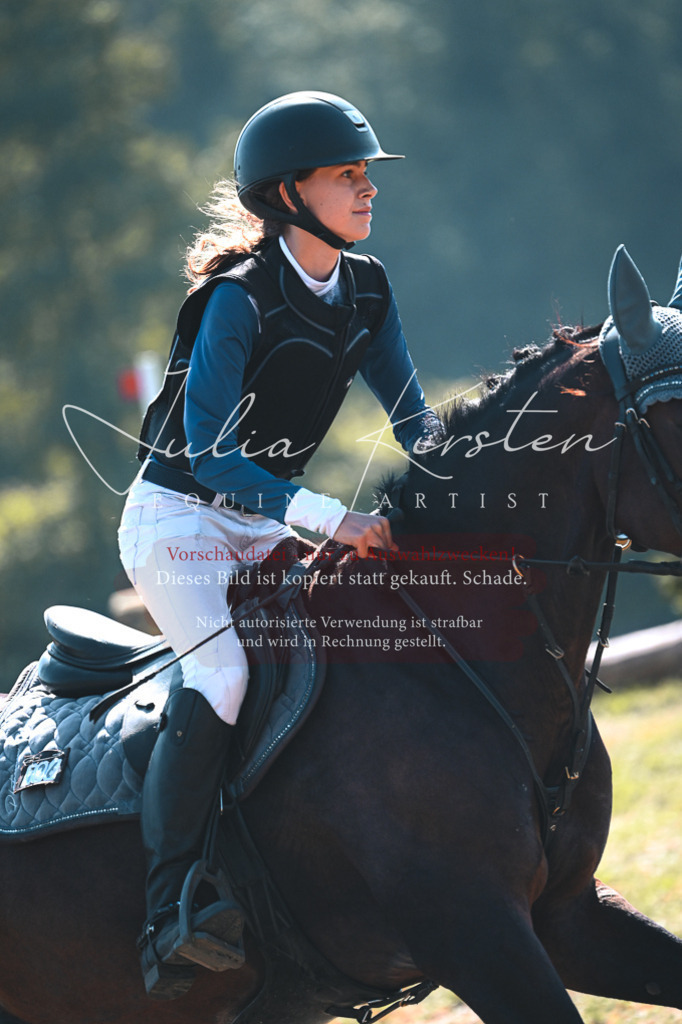 DSC_7951 | Pferde- und Turnierfotografie in Westsachsen. Pferdeportraits, Auftragszeichnungen und intuitive Kunst.