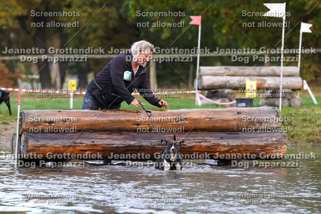Dog Paparazzi - Strongdog 10-25-6588 | Dog Paparazzi Jeanette Grottendiek Fotografie & Videografie - Realisiert mit Pictrs.com