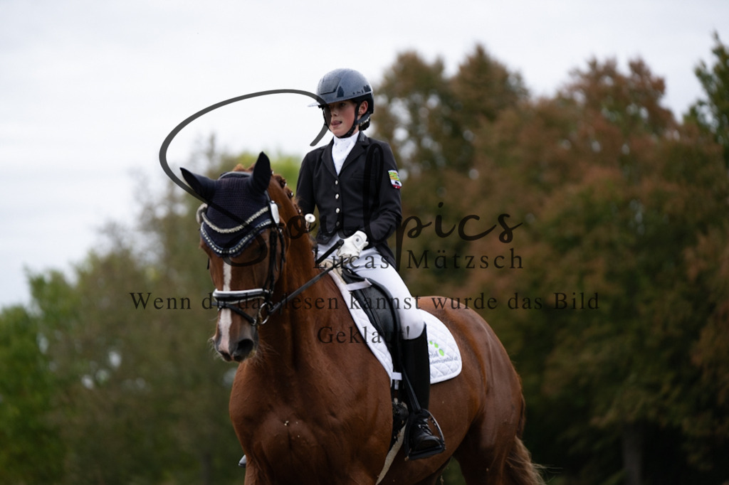 A7V06034 | Pferdefotograf