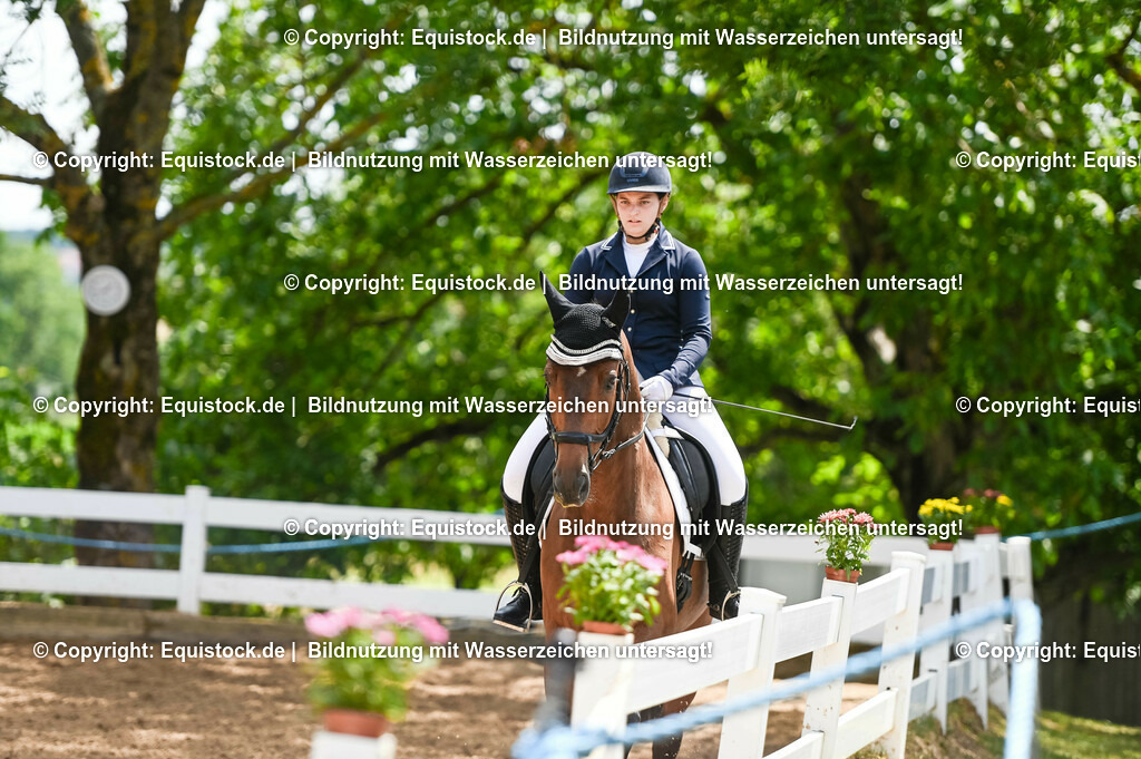 20230716_03_Dressurprfg. Kl.L - Tr._0675 | equistock