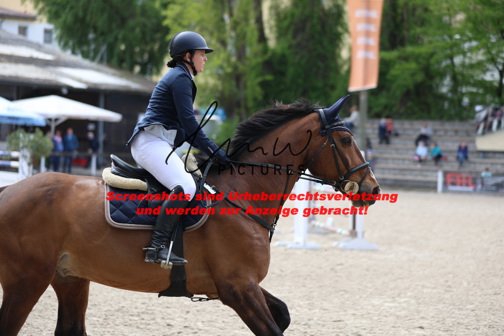 A40A2176 | lmwpictures - Realisiert mit Pictrs.com