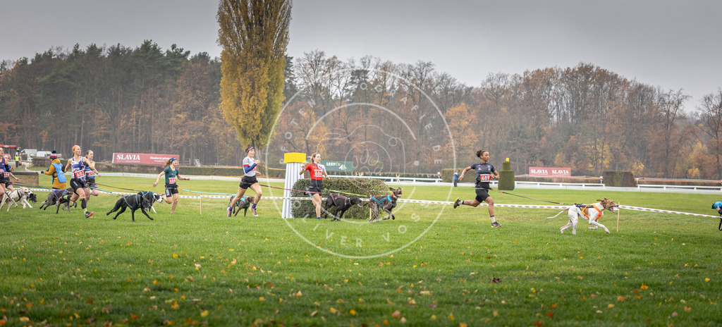 CaniXpix_DV3A8727 | Hundefotografie, Tierfotograf, Pfotenfotografie, Fotoshooting Hund, Hunde Portrait, Hundesport, Hundeportraits, Heideshooting, Hunde, Sportfotograf, Hundefotograf, Turnierhundsport, THS,  - Realisiert mit Pictrs.com