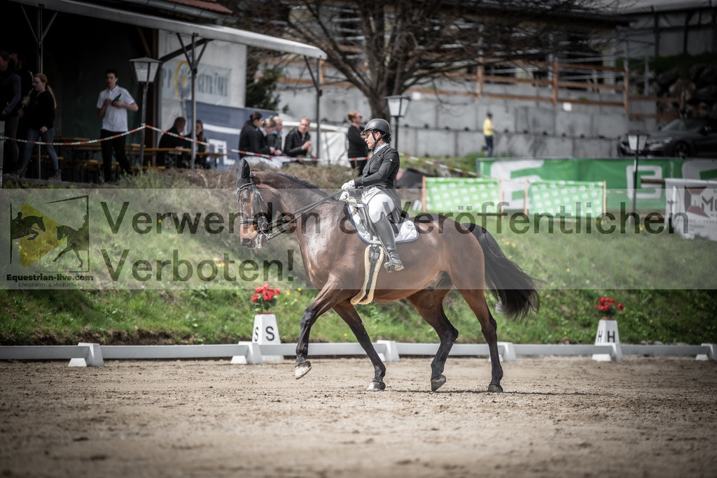 DSC_2910 | equestrian-live-com