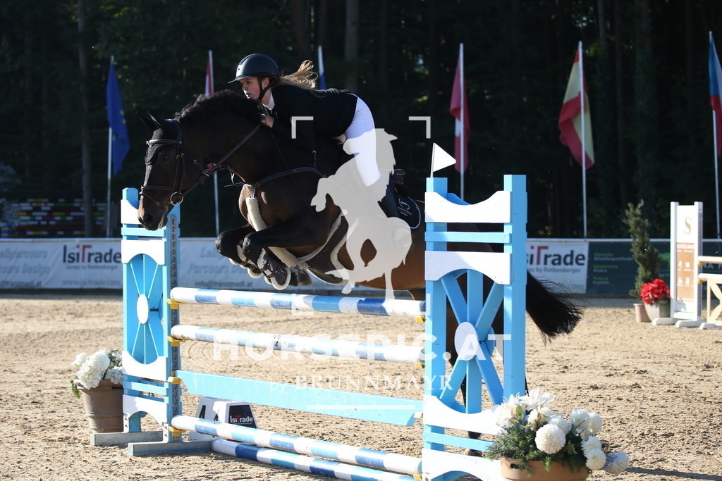 DL2Q1067 | Willkommen bei Brunnmayr - Design & Fotografie – Ihrem Spezialisten für Reitturniere und Pferdeveranstaltungen in Oberösterreich, Salzburg und Bayern! Seit über 17 Jahren sind wir leidenschaftlich dabei.