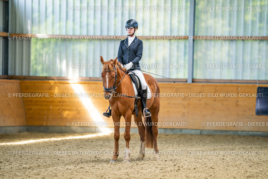 DSC03442 | Pferdegrafie