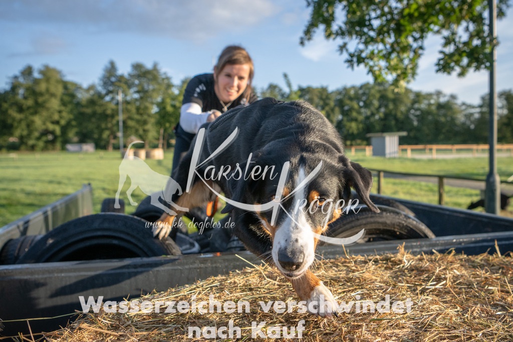 0805_ZZ90235 | kk-dogfotos