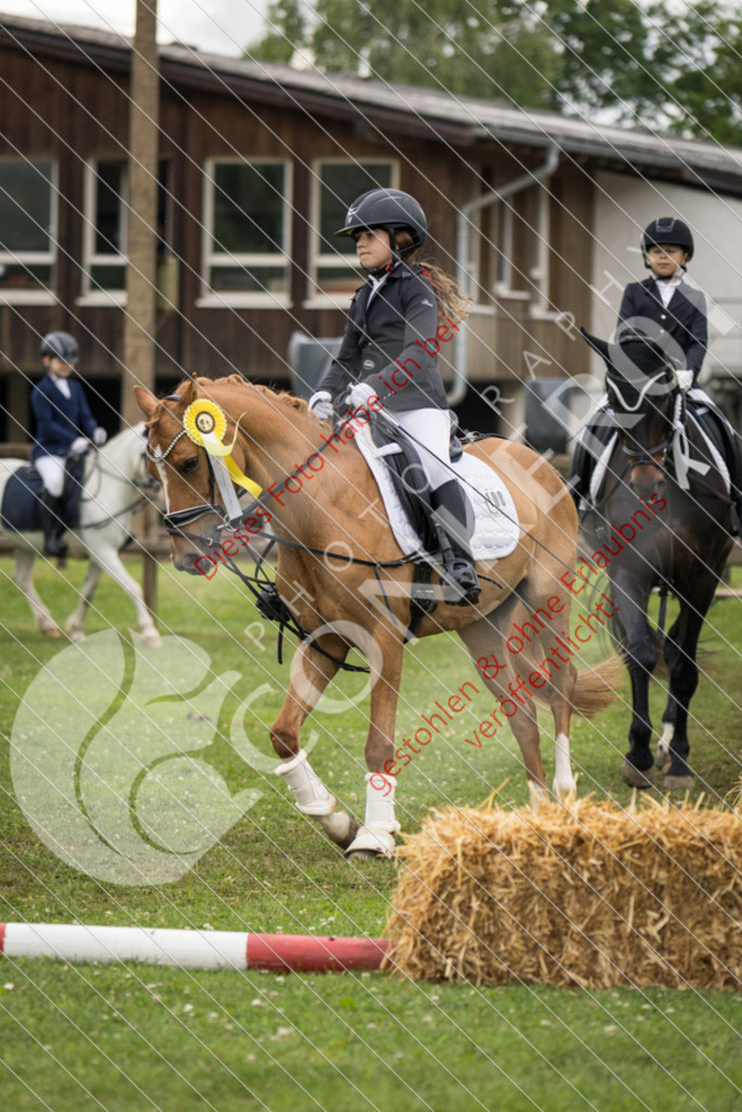 IMG_1993 | Sport-, Event- und Tierfotos in Profiqualität. Einfach auswählen, bestellen und herunterladen. Dein Moment – perfekt festgehalten.