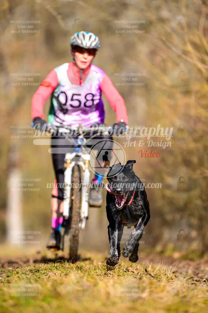 MompixPhotography_Schwabentrail2025_SO_Bike-73 | PayLife