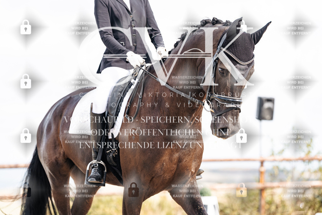 CK901748 | Turnierfotografie Pferdefotografie Trier Rheinland-Pfalz Pferdesport Reitsport Tierfotografie Sportfotografie Pferdevideo Pferdevideografie Equestrianvideography equestrianphotography  - Realisiert mit Pictrs.com
