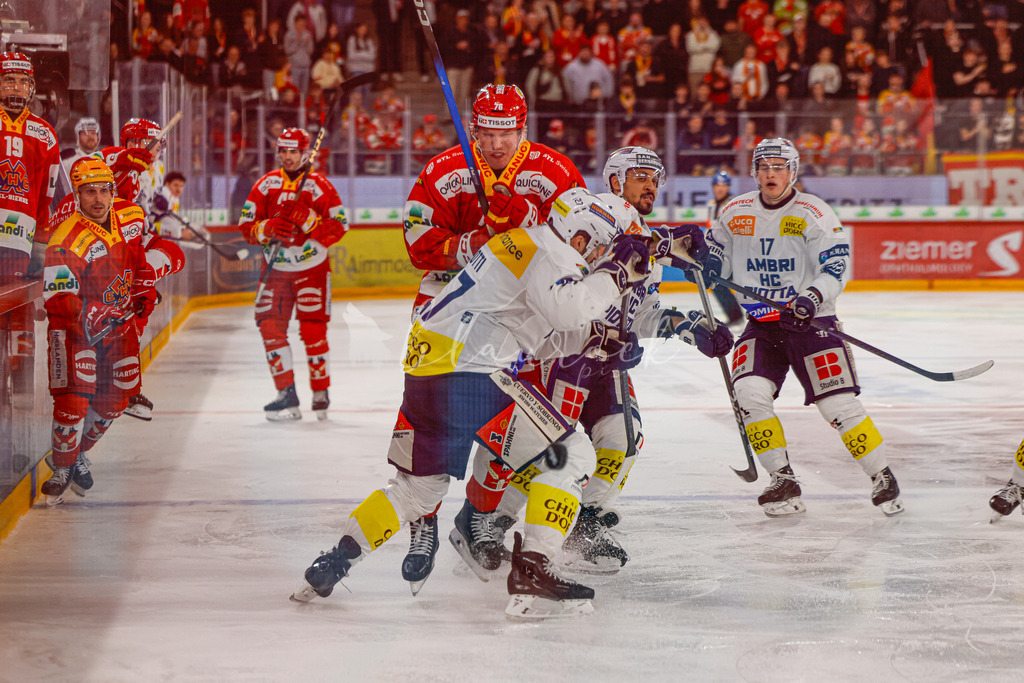EHCB vs HCAP 20260115_wb-4176 | Sportbilder, Sportfotograf, Hochzeits- und Eventfotografin, Flugshows, Portraits und Tiershooting, Aviation, Downhill, Nationalleague, Swissleague, International