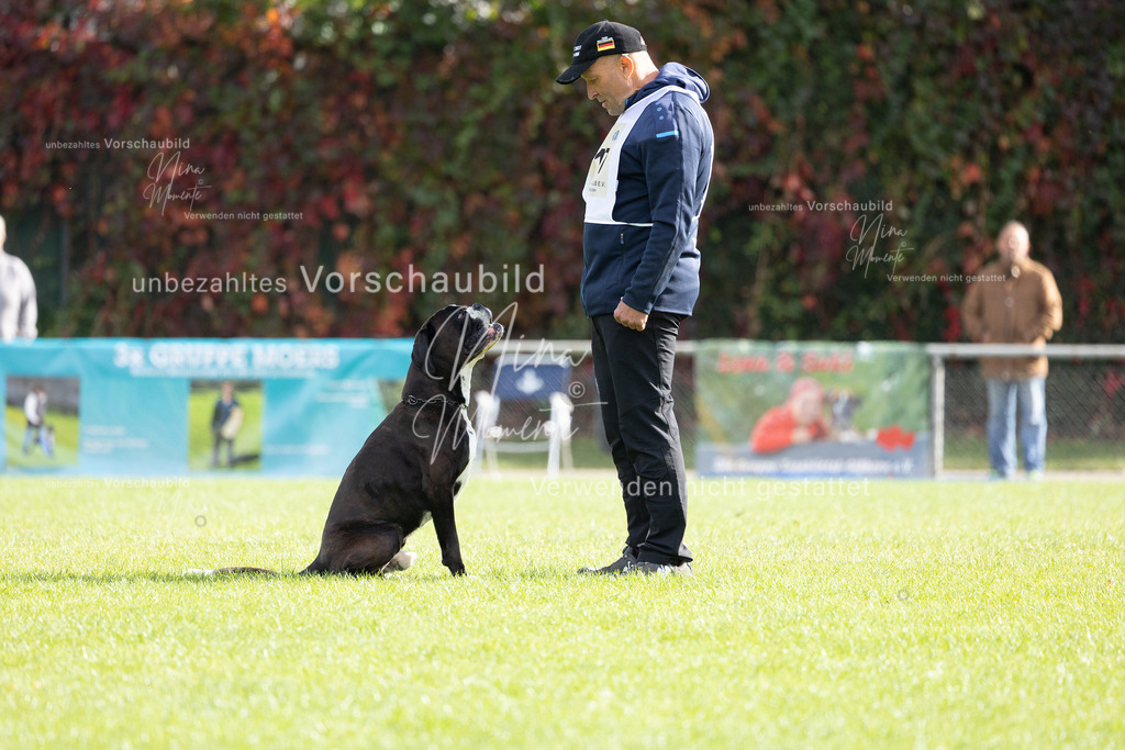 _16A6656 | Einzigartige Fotos von Hunden & Menschen –Actionfotos, Portraits, Vereinsaufnahmen & Paarshootings – authentisch, lebendig & mit Herz.