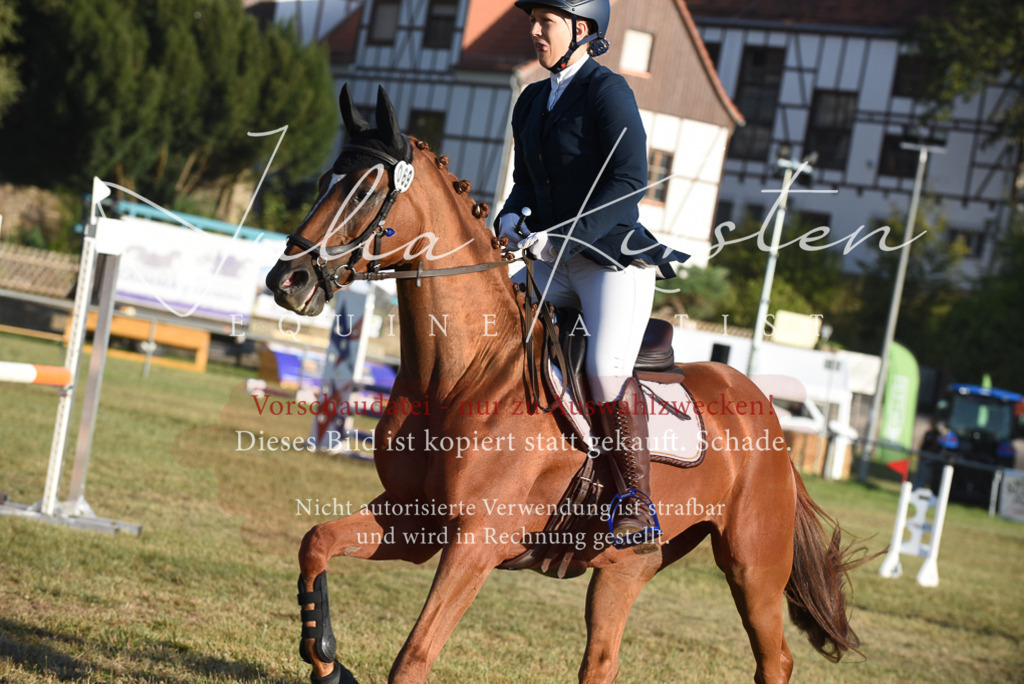 DSC_4899 | Pferde- und Turnierfotografie in Westsachsen. Pferdeportraits, Auftragszeichnungen und intuitive Kunst.