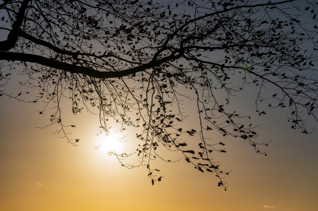 2023_01_08_MCP6467 | Hochwertig gedruckte Fotografien für die Wand, als Kalender und zum Verschenken. Hamburg & Norddeutschland und überall wo ich mit der Kamera unterwegs war.