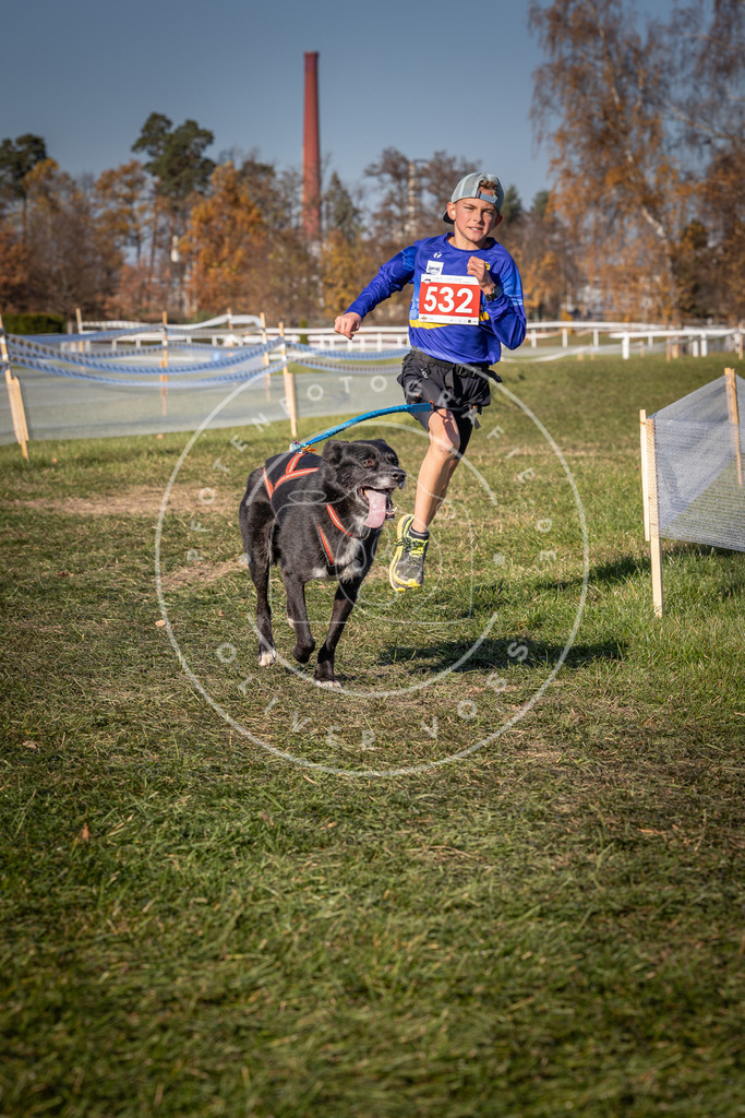 CaniXpix_0L8A7358 | Hundefotografie, Tierfotograf, Pfotenfotografie, Fotoshooting Hund, Hunde Portrait, Hundesport, Hundeportraits, Heideshooting, Hunde, Sportfotograf, Hundefotograf, Turnierhundsport, THS,  - Realisiert mit Pictrs.com