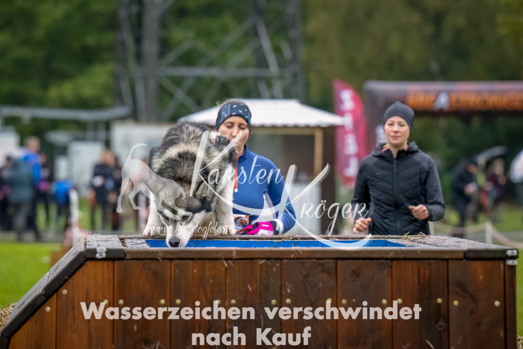 1027--3 | kk-dogfotos