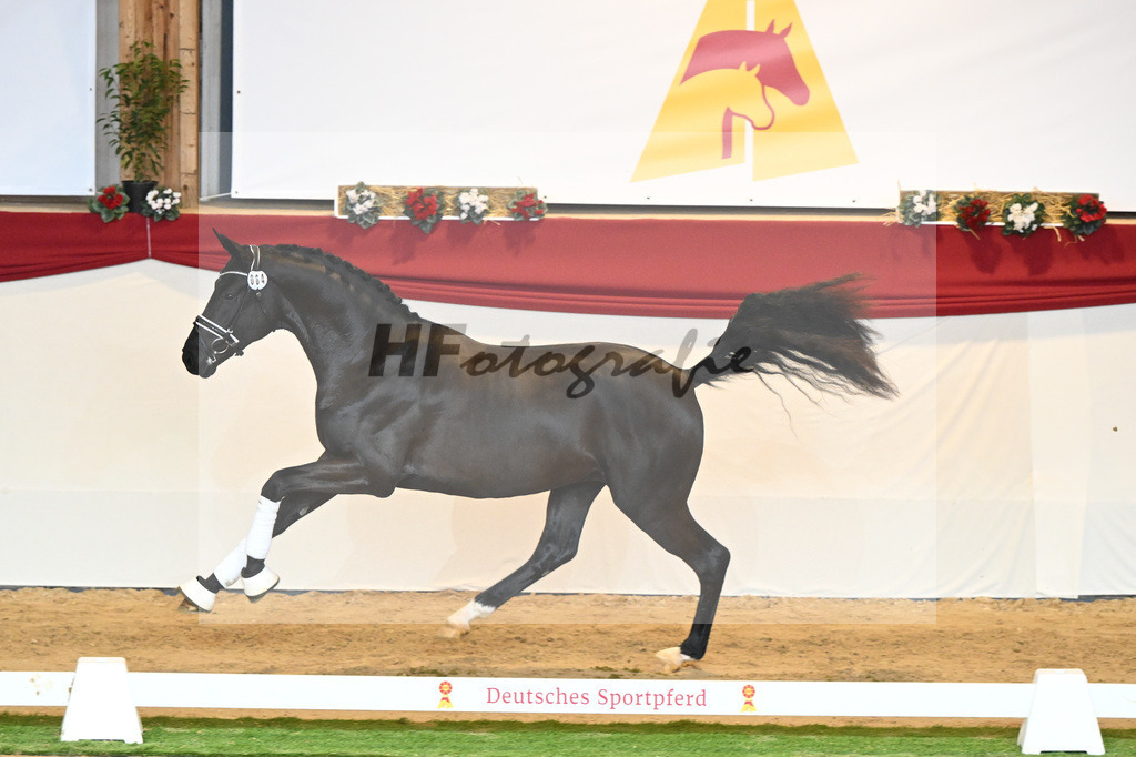 Kat-Nr. 64 Meridian_Schadock_1230347 | hf-fotografie - Realizzato con Pictrs.com
