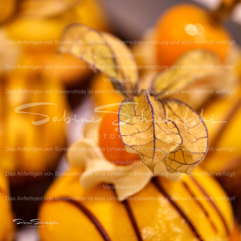 "Henri´s Cafe" Düsseldorf, neue Speisekarte | People- und Tierfotografie, Imageaufnahmen, Veranstaltungsfotografie und Wandbilder aus der Natur ★ Made in Germany ✔️ Druck + Downloads ✔️ Naturfotografie in Top Qualität ★ schneller Versand, weltweite Lieferung! - Realisiert mit Pictrs.com