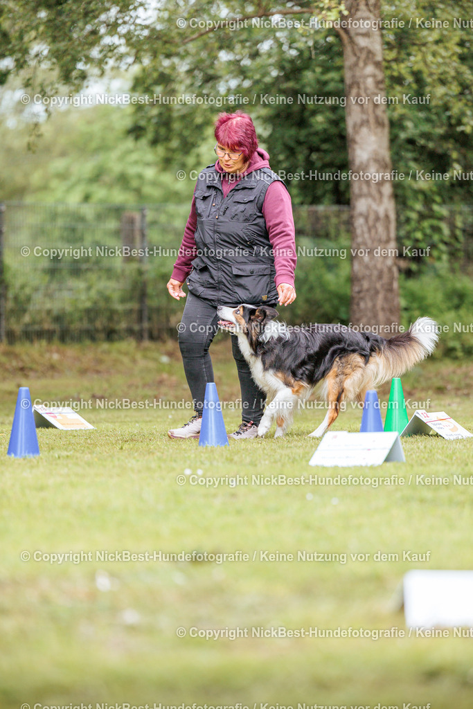 RO-Blumenthal-2026-Nickbest-Hundefotografie-2515 | Dein Hund! Dein Moment! Deine Erinnerungen! Hundefotografie in Bremen Blumenthal. Ich fange die besonderen Momente deines Vierbeiners ein – ob Indoor mit Blitzanlage oder in der freien Natur. Sicher dir dein Moment und dein Termin für eure Erinnerungen.