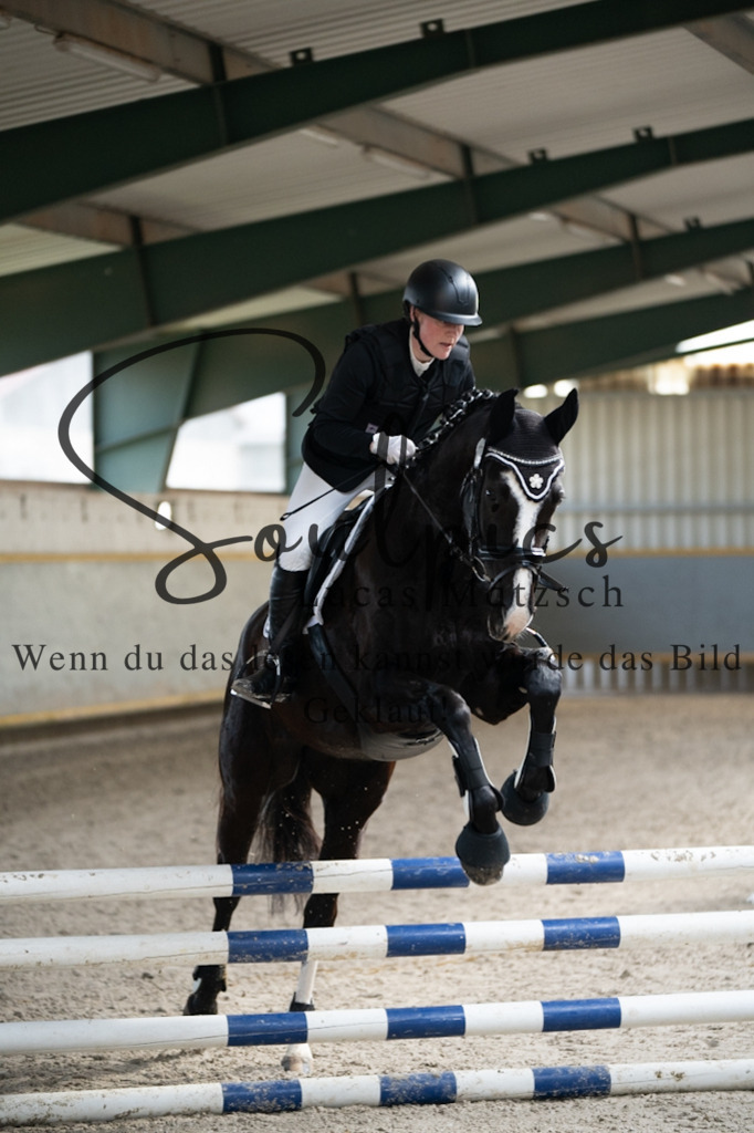 A7V07827 | Pferdefotograf