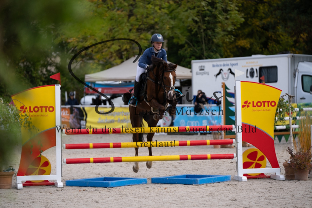 A7V00373 | Pferdefotograf