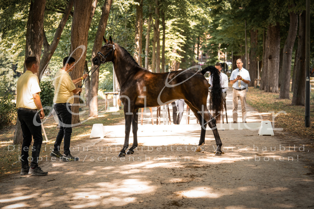 FrPfM00212 | Leoni Ertmer Photography - Realisiert mit Pictrs.com