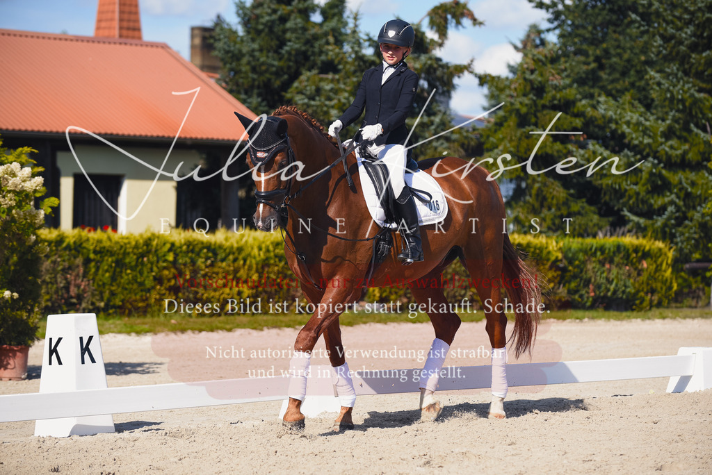 DSC_0082 | Pferde- und Turnierfotografie in Westsachsen. Pferdeportraits, Auftragszeichnungen und intuitive Kunst.